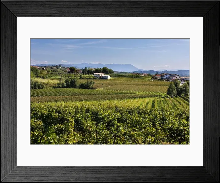 Framed Print : 2s25643 Framed Print : 2s25643