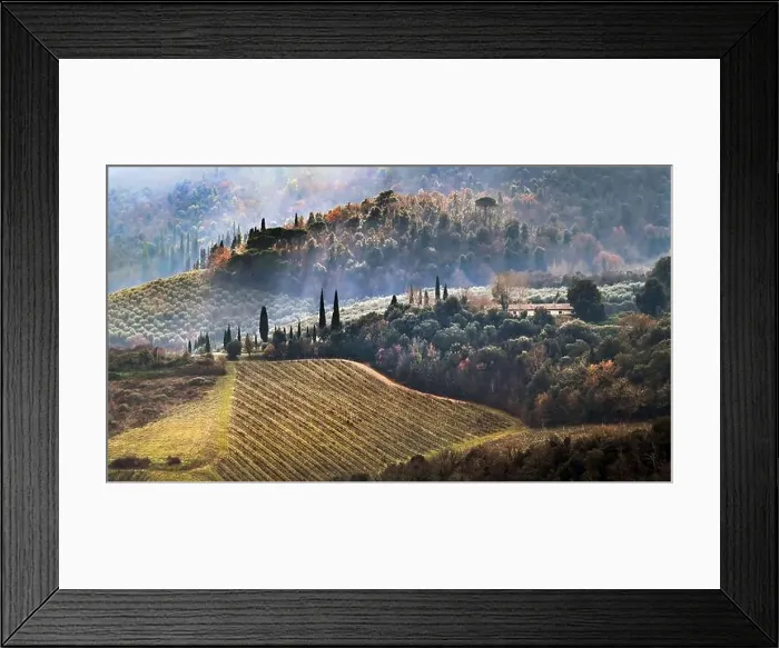 Framed Print : 2s25ypk Framed Print : 2s25ypk