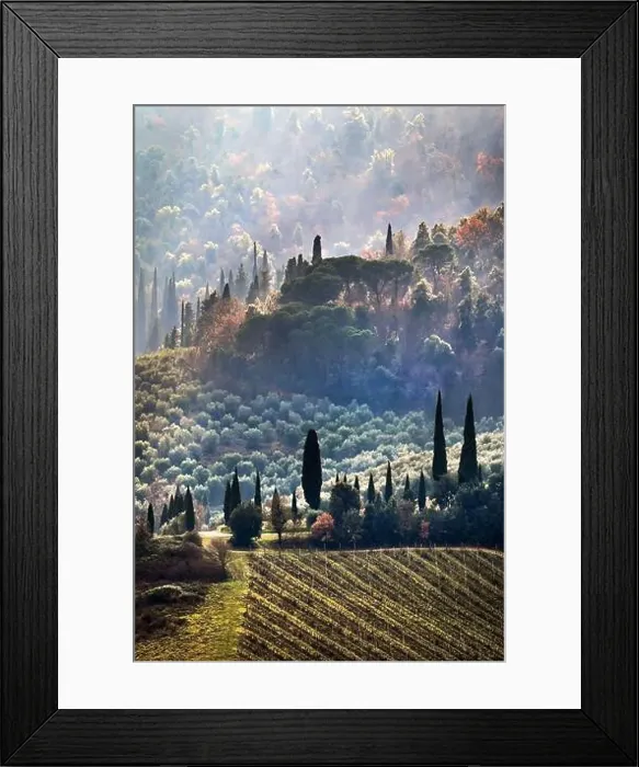 Framed Print : 2s26jx7 Framed Print : 2s26jx7