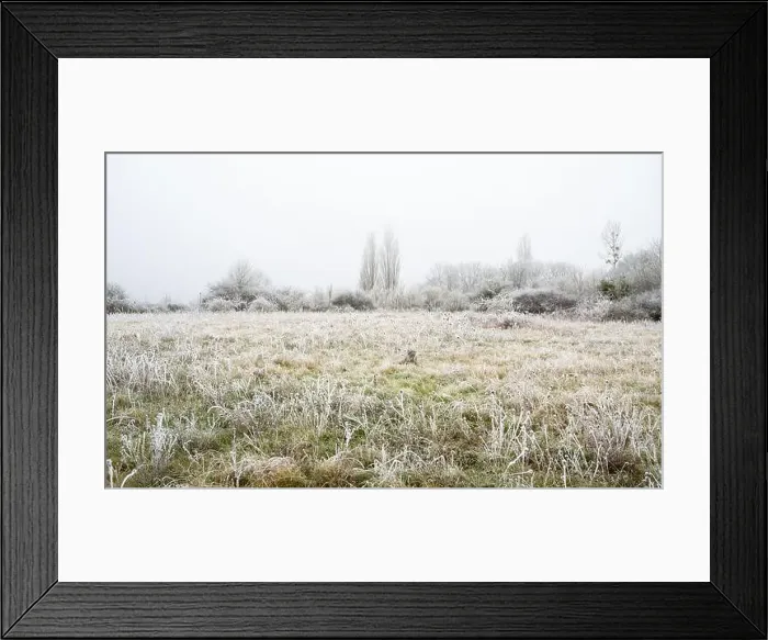 Framed Print : 2s275ce