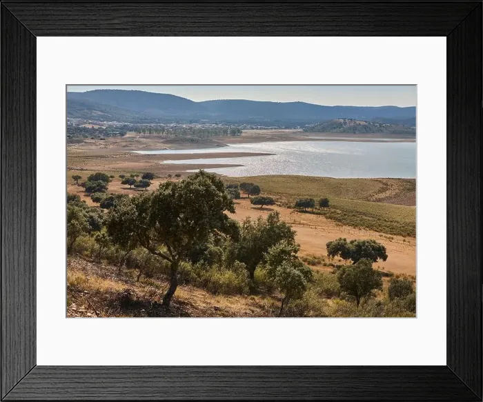 Framed Print : 2s2c5w4 Framed Print : 2s2c5w4