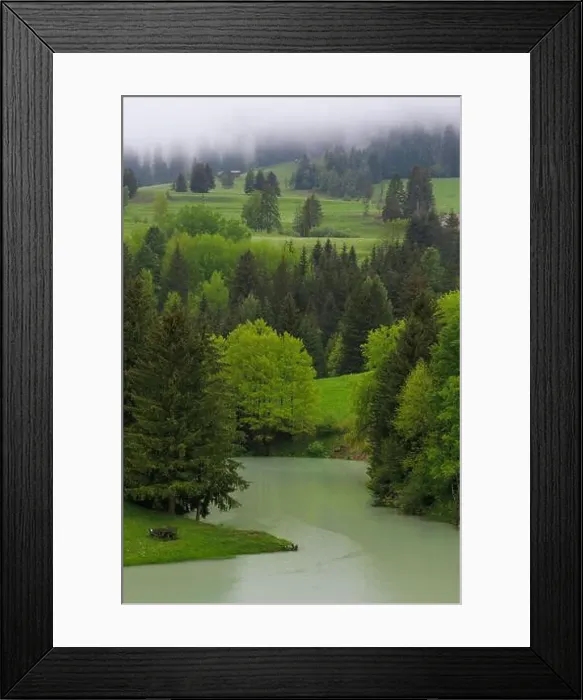 Framed Print : 2s2f6am Framed Print : 2s2f6am