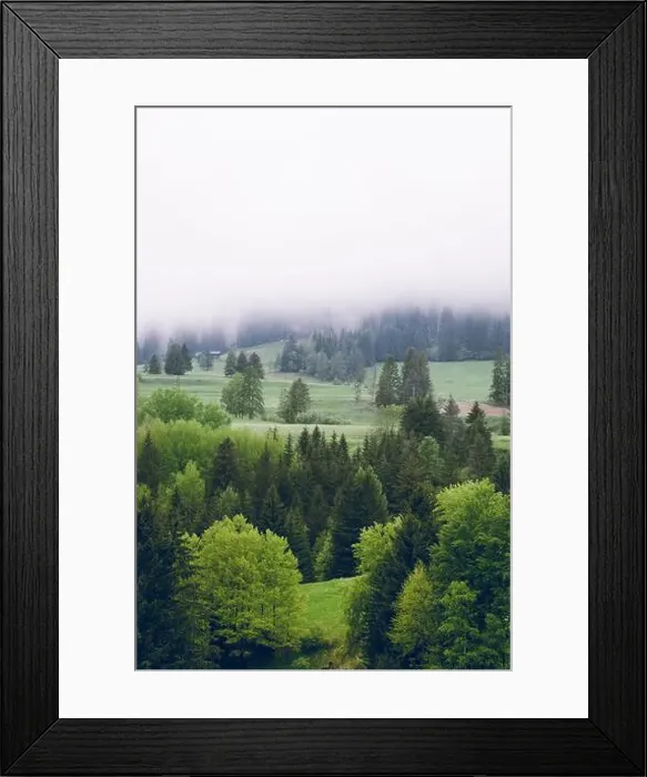 Framed Print : 2s2f6ar Framed Print : 2s2f6ar