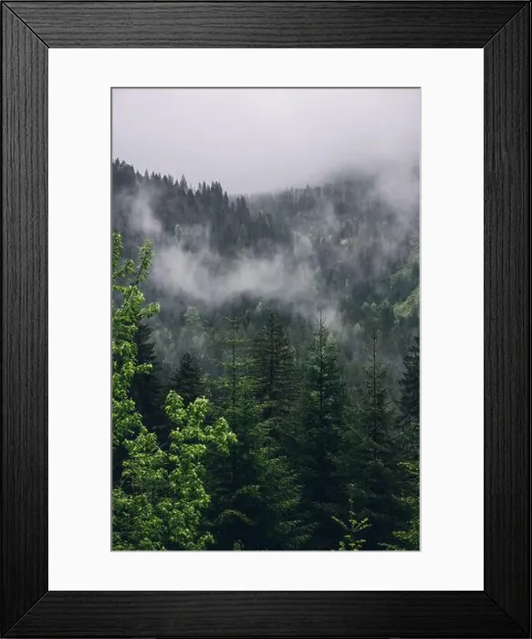 Framed Print : 2s2f6b0