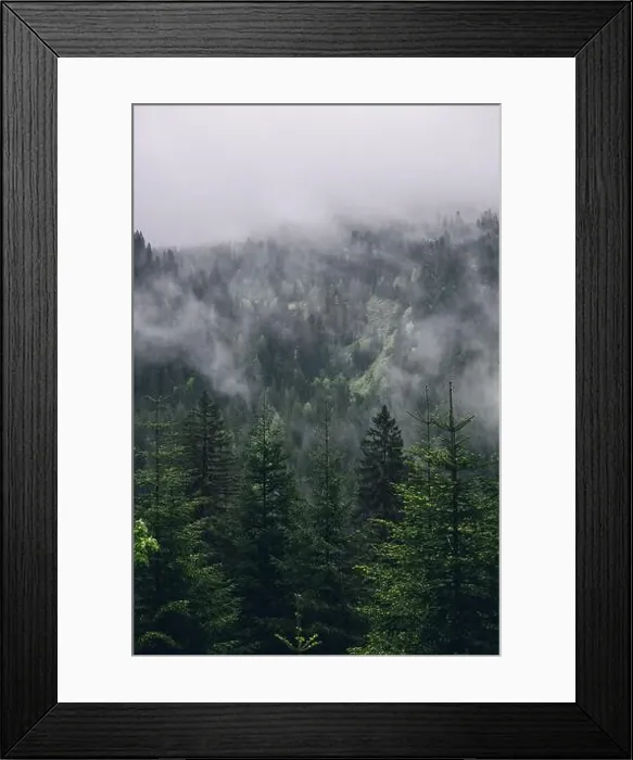 Framed Print : 2s2f6hd