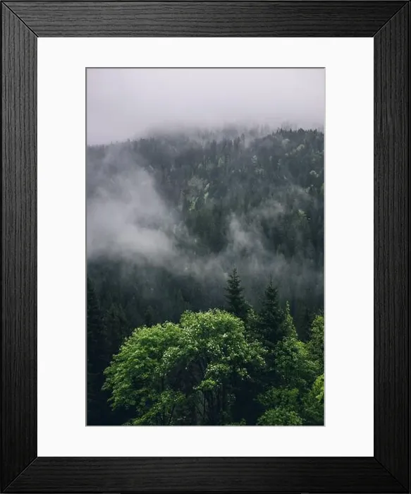 Framed Print : 2s2f6j6 Framed Print : 2s2f6j6