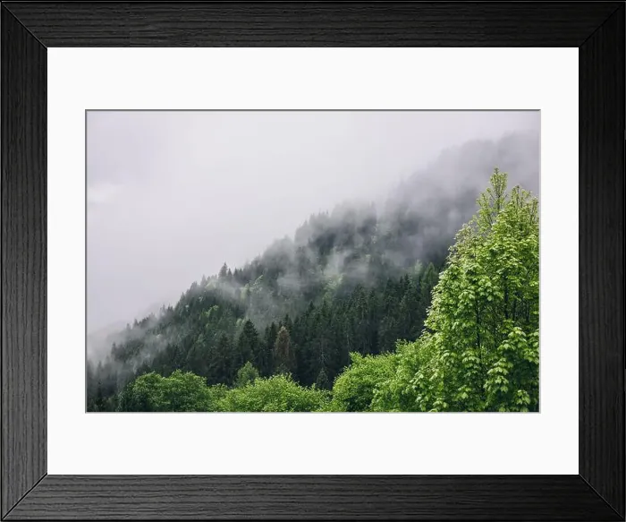 Framed Print : 2s2f6k8