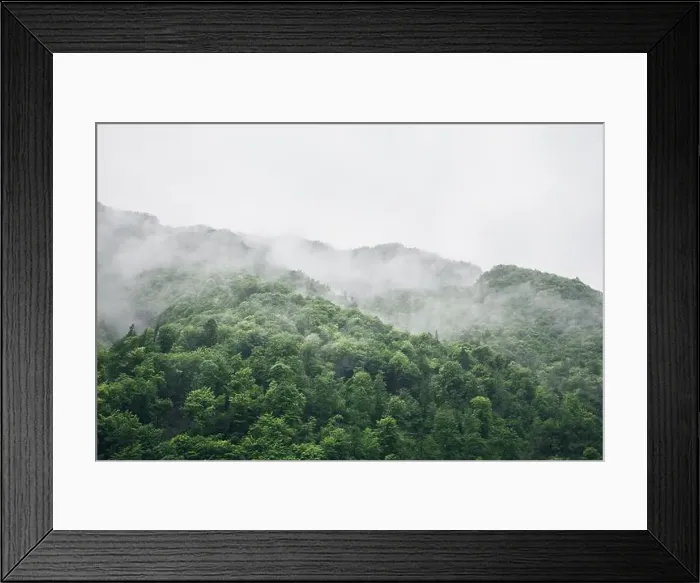 Framed Print : 2s2f6mw Framed Print : 2s2f6mw