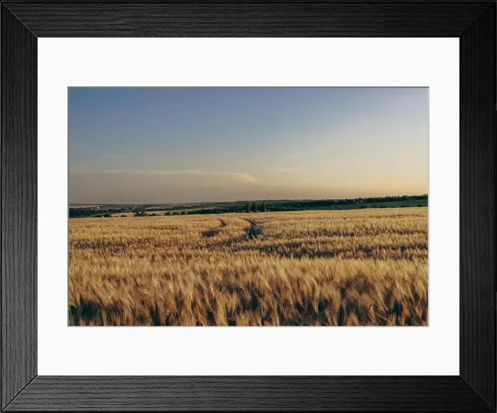 Framed Print : 2s2f7fc Framed Print : 2s2f7fc