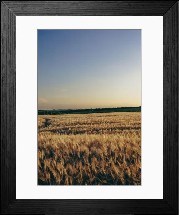 Framed Print : 2s2f7ff Framed Print : 2s2f7ff