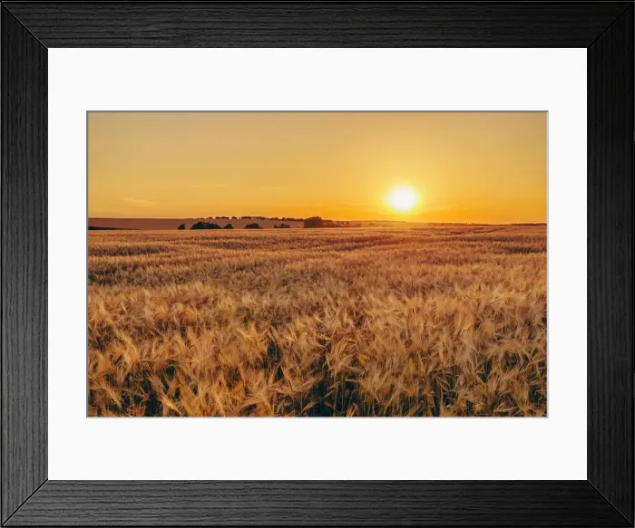 Framed Print : 2s2f7g2