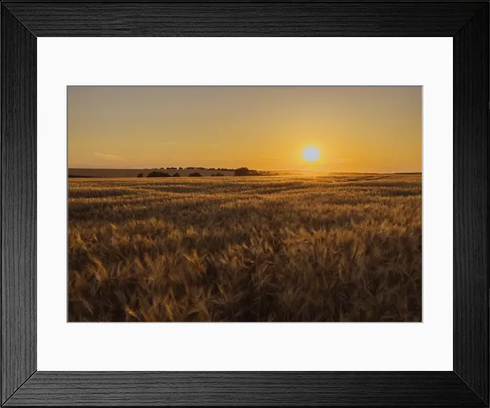 Framed Print : 2s2f7g7 Framed Print : 2s2f7g7