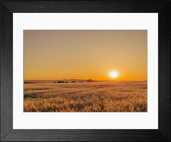 Framed Print : 2s2f7ga Framed Print : 2s2f7ga
