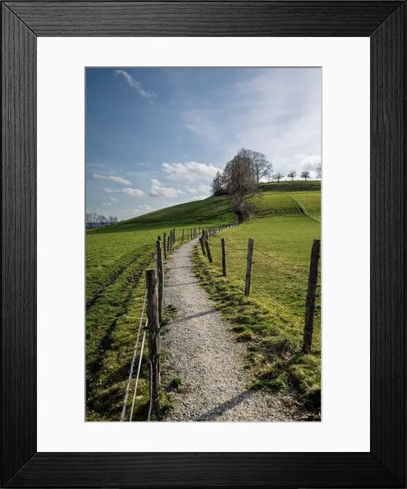 Framed Print : 2s2f8xw Framed Print : 2s2f8xw