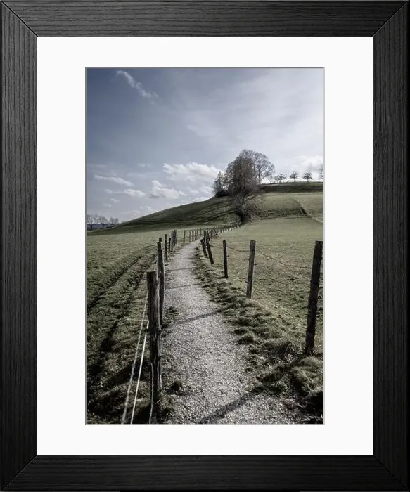 Framed Print : 2s2f8xx Framed Print : 2s2f8xx