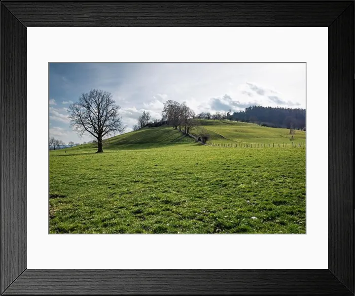 Framed Print : 2s2f8yp Framed Print : 2s2f8yp