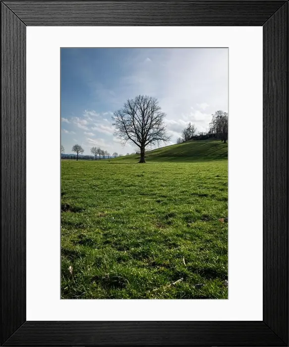 Framed Print : 2s2f913 Framed Print : 2s2f913
