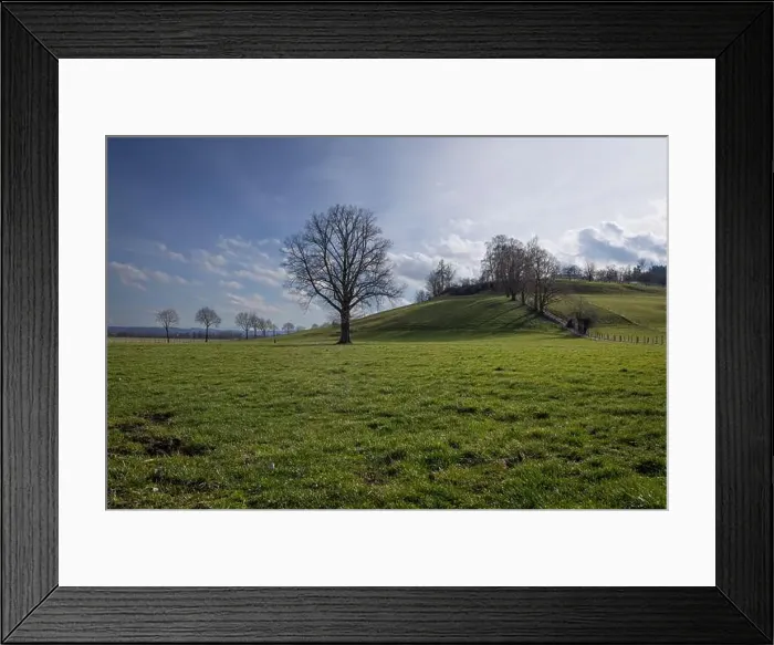 Framed Print : 2s2f93r Framed Print : 2s2f93r