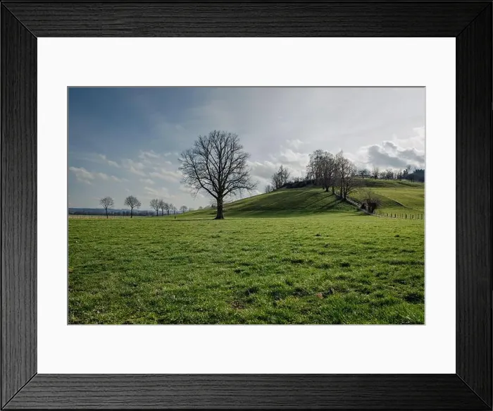 Framed Print : 2s2f94x