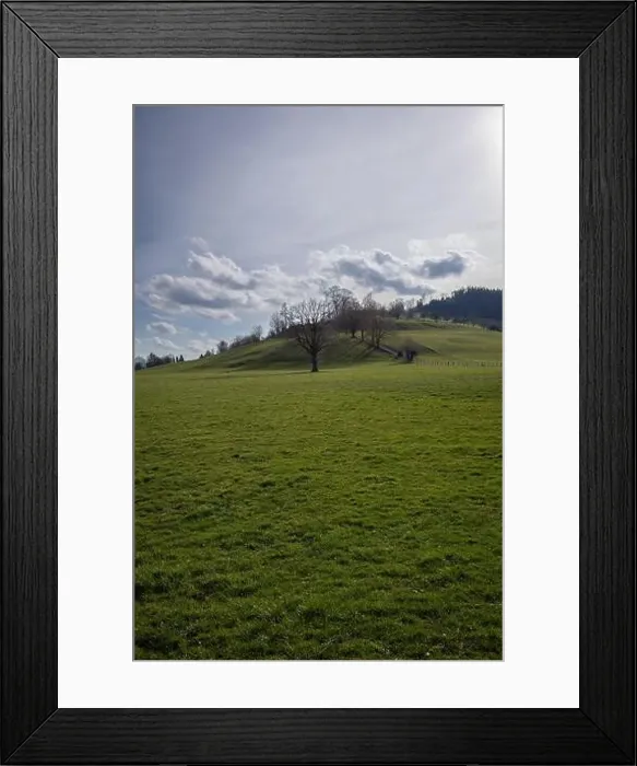 Framed Print : 2s2f968 Framed Print : 2s2f968