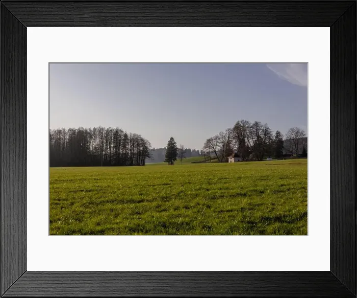 Framed Print : 2s2f9g8 Framed Print : 2s2f9g8