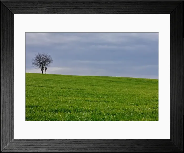 Framed Print : 2s2f9wh