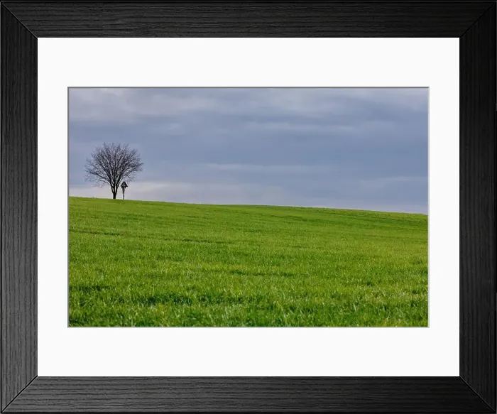 Framed Print : 2s2f9wj Framed Print : 2s2f9wj