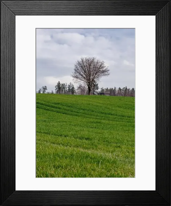 Framed Print : 2s2f9wk Framed Print : 2s2f9wk