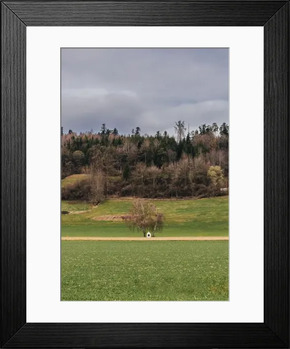 Framed Print : 2s2f9x2 Framed Print : 2s2f9x2