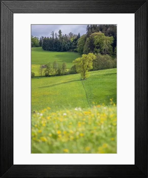 Framed Print : 2s2faw5