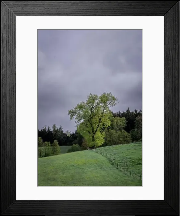 Framed Print : 2s2fayd