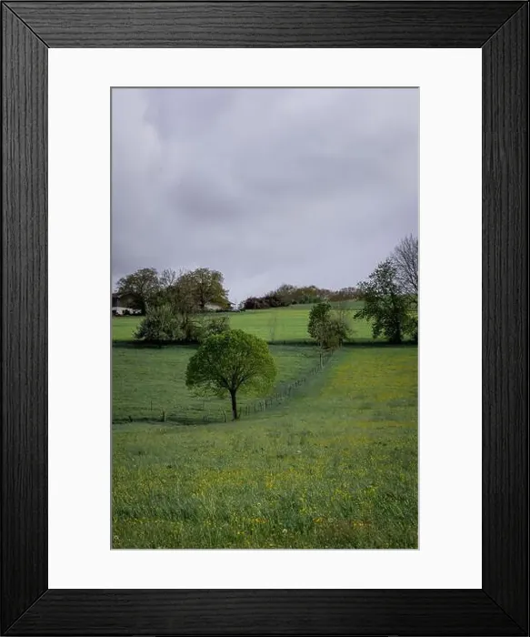 Framed Print : 2s2fb1t Framed Print : 2s2fb1t