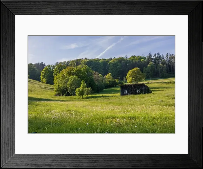 Framed Print : 2s2fb88
