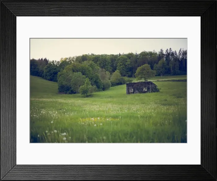 Framed Print : 2s2fbaf Framed Print : 2s2fbaf