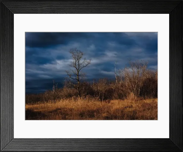 Framed Print : 2s2feb9 Framed Print : 2s2feb9