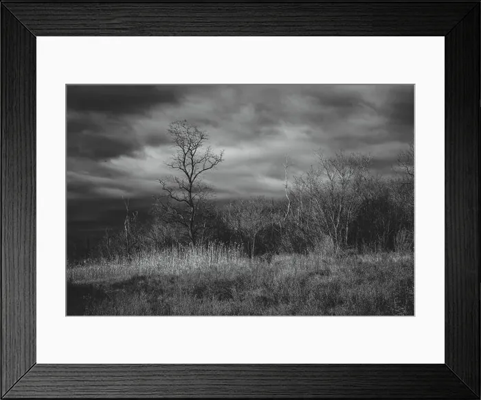 Framed Print : 2s2feba Framed Print : 2s2feba