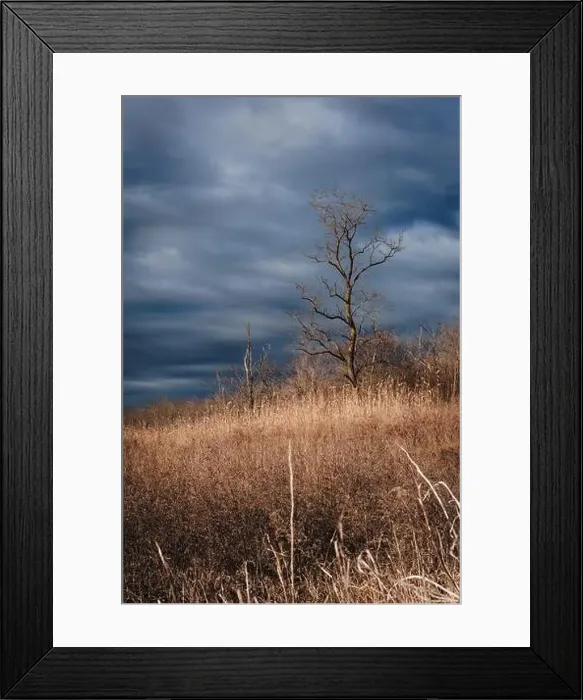 Framed Print : 2s2febb Framed Print : 2s2febb