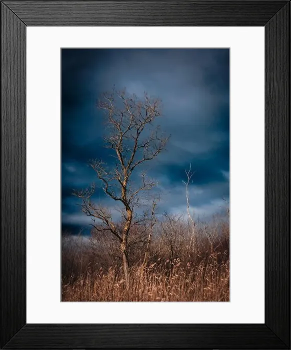 Framed Print : 2s2febj Framed Print : 2s2febj