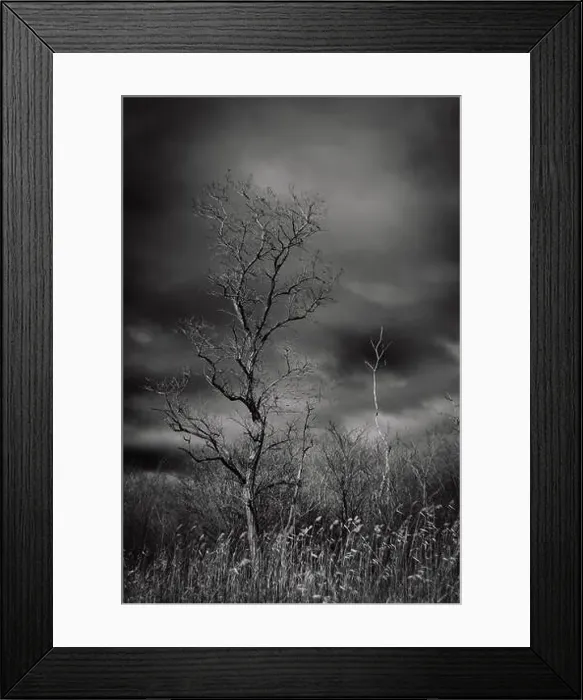 Framed Print : 2s2fecg Framed Print : 2s2fecg