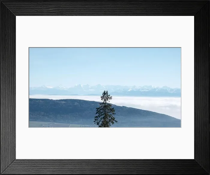 Framed Print : 2s2g66t Framed Print : 2s2g66t