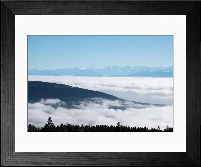 Framed Print : 2s2g66w Framed Print : 2s2g66w