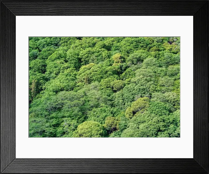 Framed Print : 2s2hjay Framed Print : 2s2hjay