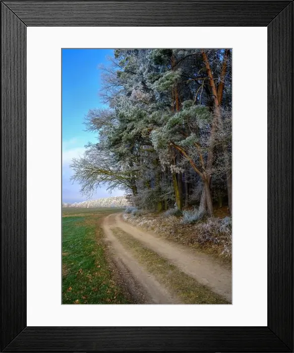 Framed Print : 2s2hyf5 Framed Print : 2s2hyf5
