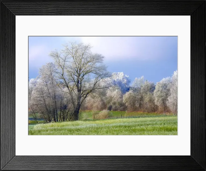 Framed Print : 2s2hyf6 Framed Print : 2s2hyf6