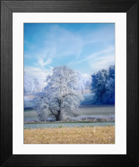 Framed Print : 2s2hyf7 Framed Print : 2s2hyf7