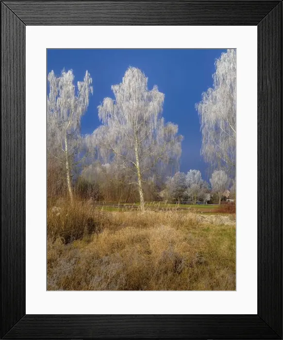 Framed Print : 2s2hyf8 Framed Print : 2s2hyf8