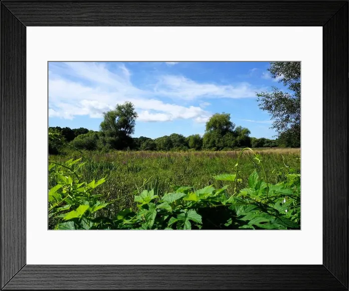 Framed Print : 2s341dt Framed Print : 2s341dt
