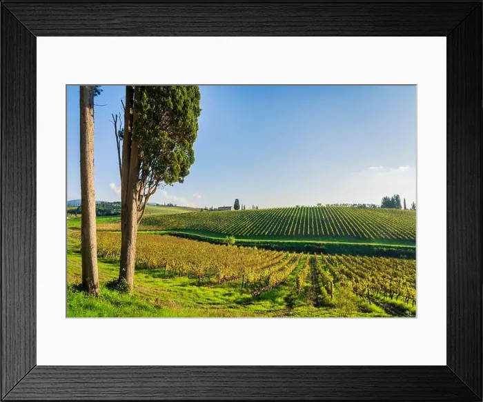 Framed Print : 2s345pc Framed Print : 2s345pc