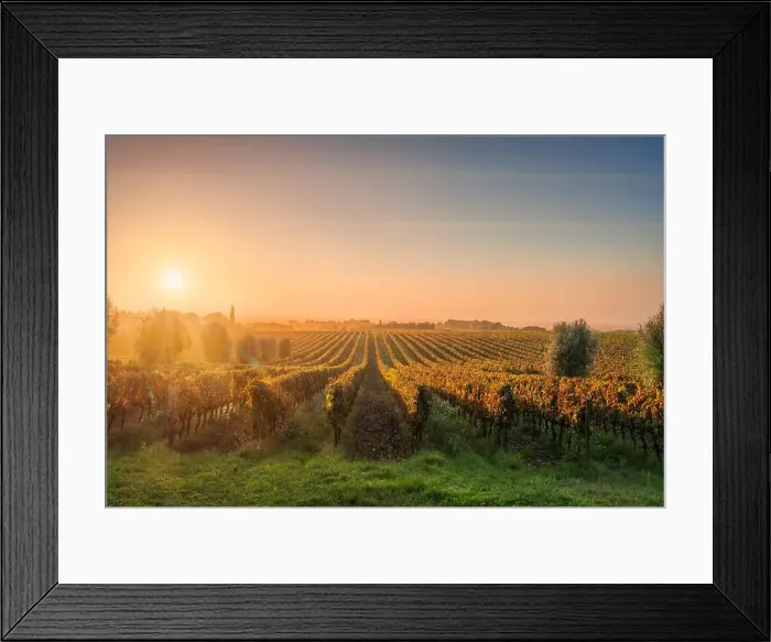 Framed Print : 2s345r2 Framed Print : 2s345r2