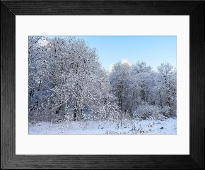 Framed Print : 2s3dn93 Framed Print : 2s3dn93